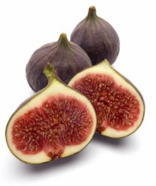 Fig varieties