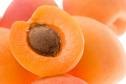 Apricot varieties